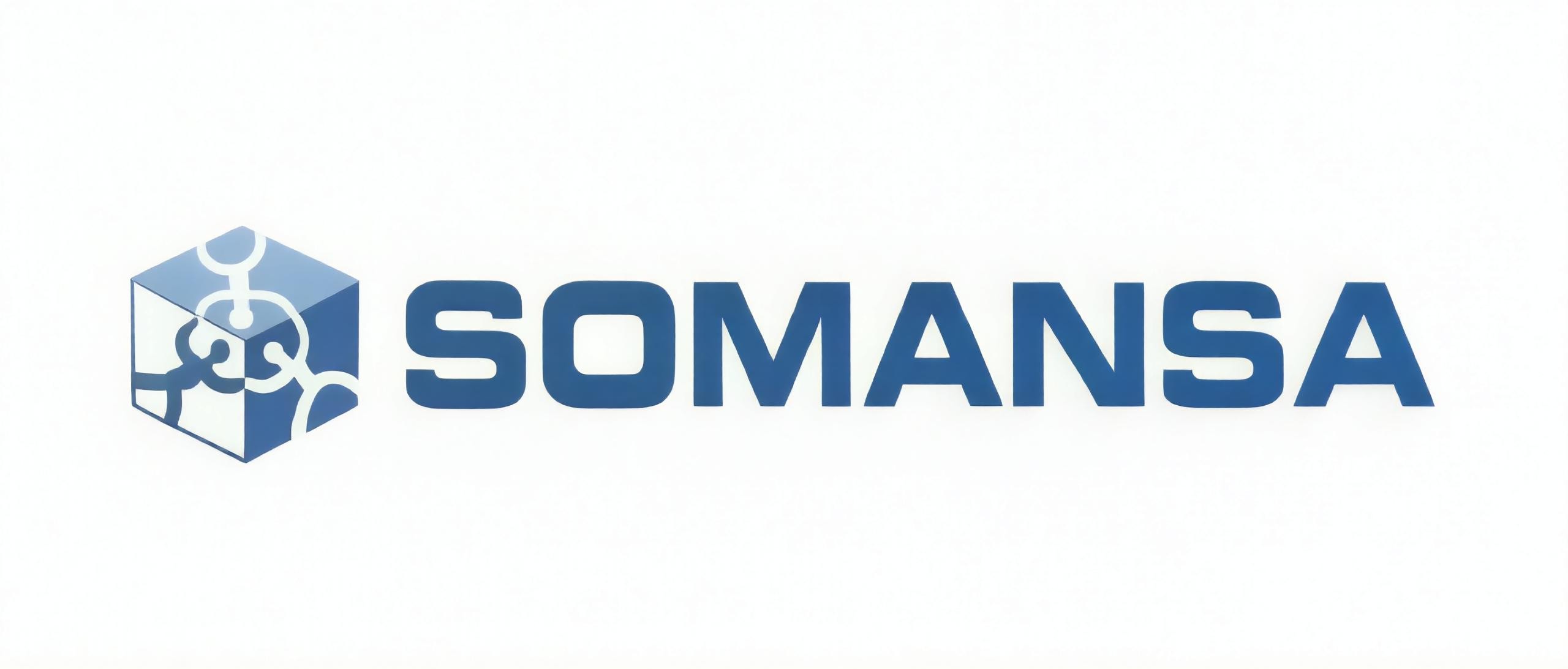 Somansa Privacy-i